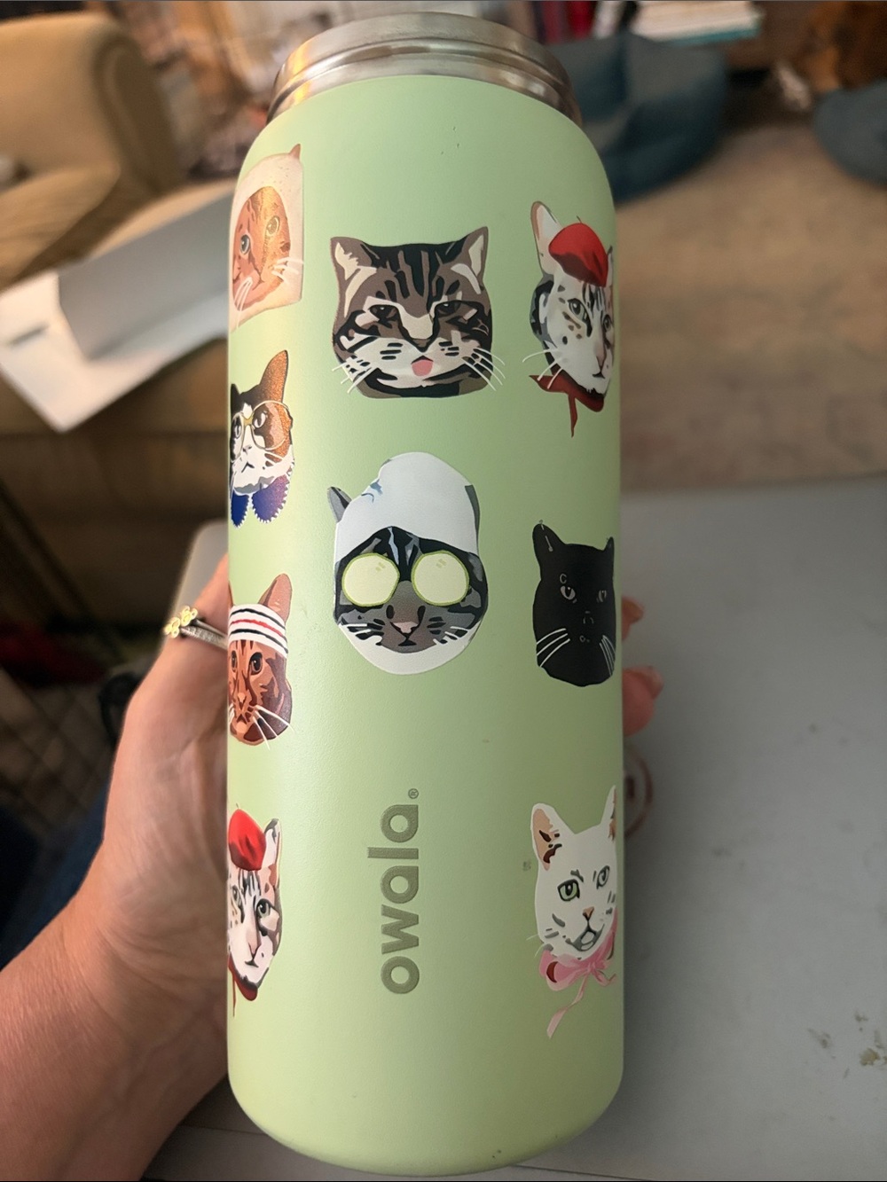 Owala 32 oz Urban Outfitters Exclusive Cat Print FreeSip Bottle Body Only No Lid